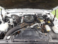 1985 Chevrolet Silverado for sale in Michigan (ID-98258)
