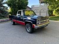 1985 Chevrolet Silverado for sale in Michigan (ID-164589)