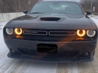 1985 Dodge Challenger for sale in Michigan (ID-162935)