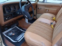 1985 Dodge D100 for sale in Michigan (ID-110080)
