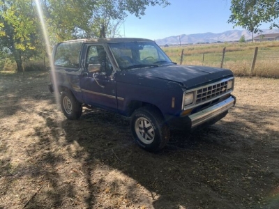 1985 Ford Bronco for sale