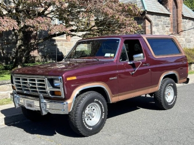 1985 Ford Bronco for sale