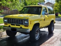 1985 Ford Bronco for sale in Michigan (ID-122438)