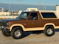 1985 Ford Bronco for sale in Michigan (ID-124521)