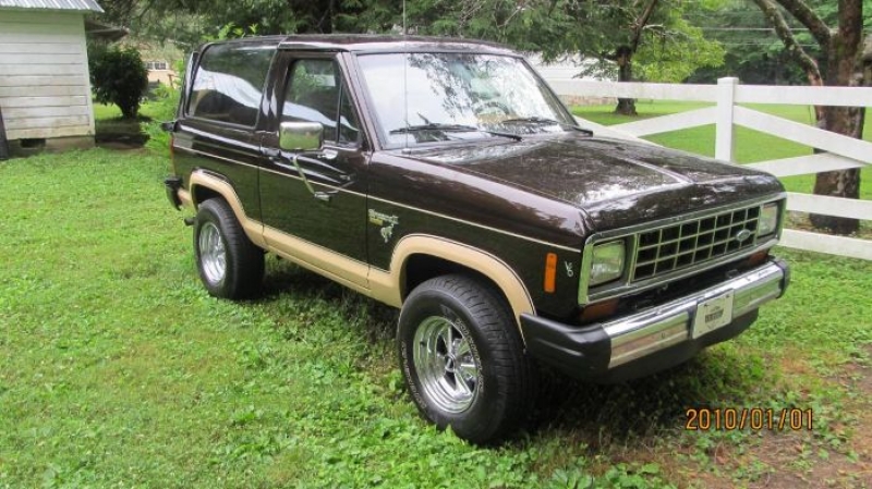 1985 Ford Bronco for sale in Michigan (ID-126131)