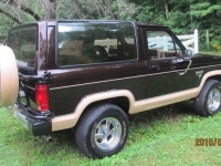 1985 Ford Bronco for sale in Michigan (ID-126131)