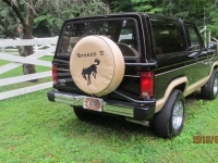 1985 Ford Bronco for sale in Michigan (ID-126131)