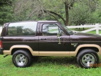 1985 Ford Bronco for sale in Michigan (ID-126131)