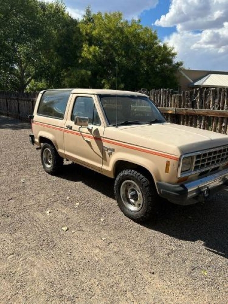 1985 Ford Bronco for sale in Michigan (ID-140405)