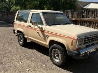 1985 Ford Bronco for sale in Michigan (ID-140405)
