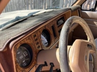 1985 Ford Bronco for sale in Michigan (ID-140405)