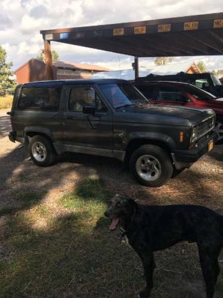 1985 Ford Bronco for sale in Michigan (ID-164071)