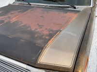 1985 Ford F150 for sale in Michigan (ID-124489)