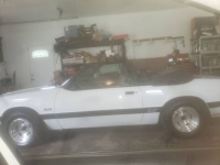 1985 Ford Mustang for sale in Michigan (ID-94795)