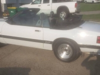 1985 Ford Mustang for sale in Michigan (ID-94795)