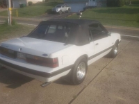 1985 Ford Mustang for sale in Michigan (ID-94795)