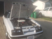 1985 Ford Mustang for sale in Michigan (ID-94795)