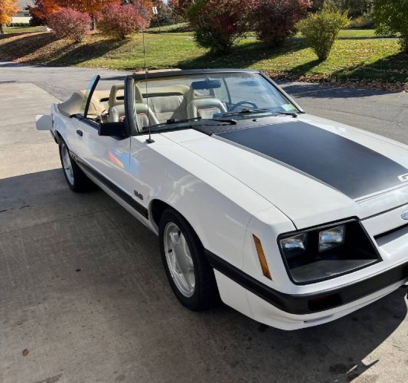 1985 Ford Mustang for sale in Michigan (ID-117157)