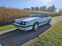 1985 Ford Mustang for sale in Michigan (ID-122469)
