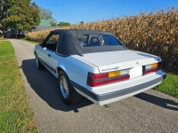 1985 Ford Mustang for sale in Michigan (ID-122469)