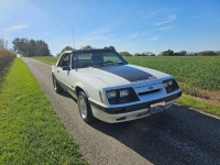1985 Ford Mustang for sale in Michigan (ID-122469)