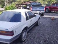 1985 Ford Mustang for sale in Michigan (ID-124185)