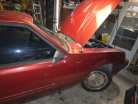 1985 Ford Mustang for sale in Michigan (ID-163655)
