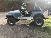 1985 Jeep CJ7 for sale in Michigan (ID-94459)