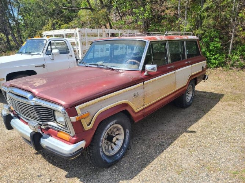 1985 Jeep Grand Wagoneer for sale in Michigan (ID-98564)