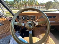 1985 Jeep Grand Wagoneer for sale in Michigan (ID-133328)
