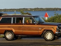 1985 Jeep Grand Wagoneer for sale in Michigan (ID-138322)