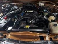 1985 Jeep Grand Wagoneer for sale in Michigan (ID-138322)