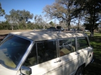 1985 Jeep Grand Wagoneer for sale in Michigan (ID-142362)