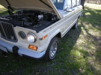1985 Jeep Grand Wagoneer for sale in Michigan (ID-142362)