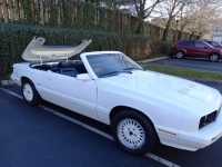 1985 Mercury Capri for sale in Michigan (ID-134540)