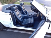 1985 Mercury Capri for sale in Michigan (ID-134540)