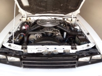 1985 Mercury Capri for sale in Michigan (ID-134540)