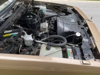 1985 Oldsmobile Cutlass for sale in Michigan (ID-122989)