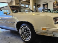 1985 Oldsmobile Cutlass for sale in Michigan (ID-145225)