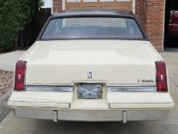 1985 Oldsmobile Cutlass for sale in Michigan (ID-145225)