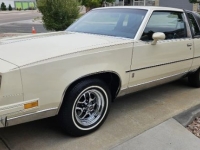1985 Oldsmobile Cutlass for sale in Michigan (ID-145225)