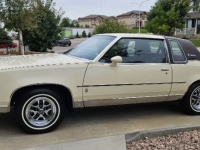 1985 Oldsmobile Cutlass for sale in Michigan (ID-145225)
