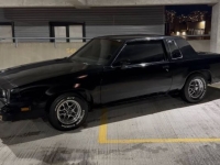 1985 Oldsmobile Cutlass for sale in Michigan (ID-164159)