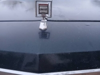 1985 Oldsmobile Delta 88 for sale in Michigan (ID-138177)