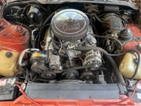 1985 Pontiac Firebird for sale in Michigan (ID-101811)