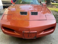 1985 Pontiac Firebird for sale in Michigan (ID-101811)