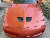 1985 Pontiac Firebird for sale in Michigan (ID-101811)
