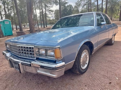 1985 Pontiac Parisienne for sale