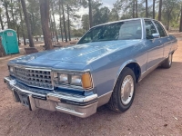 1985 Pontiac Parisienne for sale in Michigan (ID-140494)