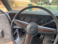 1985 Pontiac Parisienne for sale in Michigan (ID-140494)